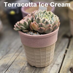 ͂ǂACXN[R[픫@@픫@Aؔ@GPxA@A@ϗtA