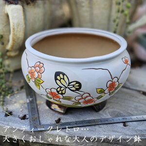 AeB[NgfUC@MS881@@픫@Aؔ@GPxA@A@ϗtA