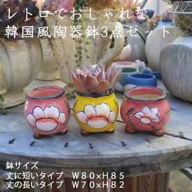 韓国風陶器鉢3点セット　おしゃれ　陶器鉢　植木鉢　エケベリア　多肉植物　観葉植物