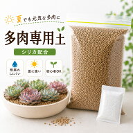多肉専用用土シリカ付き 多肉植物 サボテン 用土 培養土　シリカ