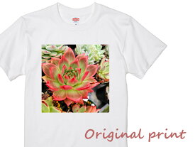 オリジナルプリントTシャツセット　名札付き苗1つ+オリジナルプリントTシャツ1枚　　観葉植物　多肉植物　Tシャツ　デザインTシャツ　半袖Tシャツ