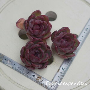 1227@3+1@ubh}AxClbg@GPxA@A@ϗtA