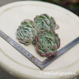 1297@3+1@GPxA@~L[sL[@A@؍Y@ϗtA