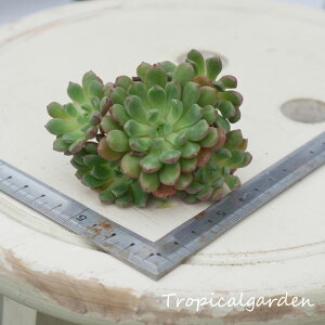 1719@3+1@e[U@GPxA@A@ϗtA