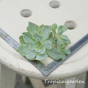 1707@3+1@Vo[NC[@GPxA@A@ϗtA