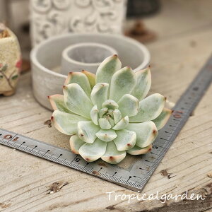 1788@3+1@`GVX TCY@GPxA@A@ϗtA