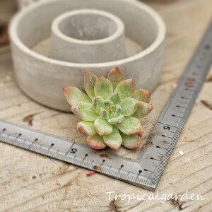 1763@3+1@R[^@GPxA@A@ϗtA