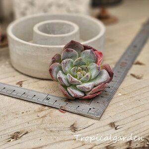 1768@3+1@߁@GPxA@A@ϗtA