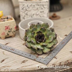 1759@3+1@ubNRR@GPxA@A@ϗtA