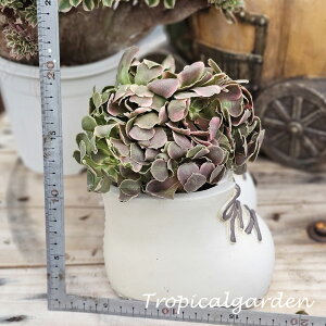 3+1@1912@Xiang Fei@AGIjE@A@؍Y@ϗtA