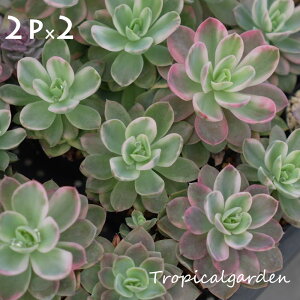 045y1ő100%|CgobNz@3+1 GPxA@A@2|bgc_2|bgZbg@؍Y@ϗtA