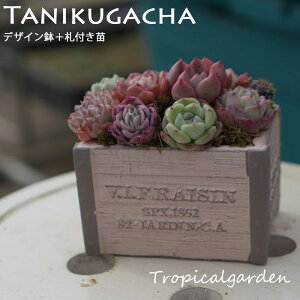 3{1@157yIׂZbgeIz^jNK`@܂|bgcⓩOR^Zbg@K`@ GPxA A ؍Y ϗtA