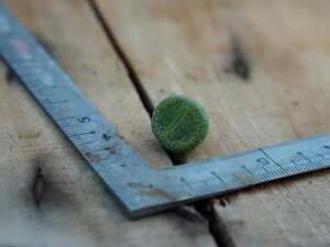 yڋʕiz422@3+1@C48a Bellaketty ׃PbeB@Όzʁ@g[vX@A@ϗtA@CeA@O[