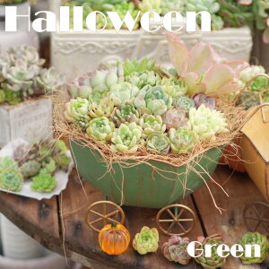 61yIׂ3czuLJ[g肠O[@GPxA@A@ϗtA