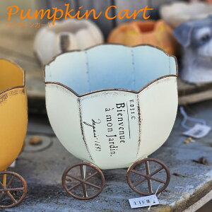 63yIׂ3czuLJ[gȂzCg@GPxA@A@ϗtA