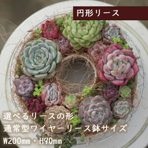 yIXXzG߂̊񂹐A@A ܂A\[g   ϗtA CeA av[g a v[g Mtg j