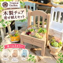 B+札 多肉植物 寄せ植えセット 木製チェア 椅子型プランター 中ベリア3苗 ミニ苗10苗 セダム付き 寄せ植えキット 選べ…