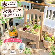 B+札 多肉植物 寄せ植えセット 木製チェア 椅子型プランター 中ベリア3苗 ミニ苗10苗 セダム付き 寄せ植…