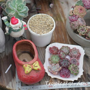 ϗtA@A@A琬X^[^[Lbh@A@픫@^@CeA@O[@GPxA