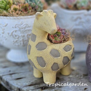 B+D@񂳂E΂@񂹐AZbg@A @  ϗtA CeA av[g a v[g Mtg j