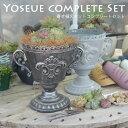 【新発売はじめての寄せ植えセット】【ポイント5倍】中サイズエケベリア5苗＋ミニ苗9苗セット＋お家鉢＋ピンセット＋スコップ　寄せ植えセット 多肉植物 おまかせ多肉アソート おしゃれ 多肉 観葉植物 インテリア 誕生日プレゼント 誕生日 プレゼント ギフト お祝