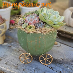 yڋʕizB+D@VpvLJ[g@薳^Cv@A   ϗtA CeA av[g a v[g Mtg j