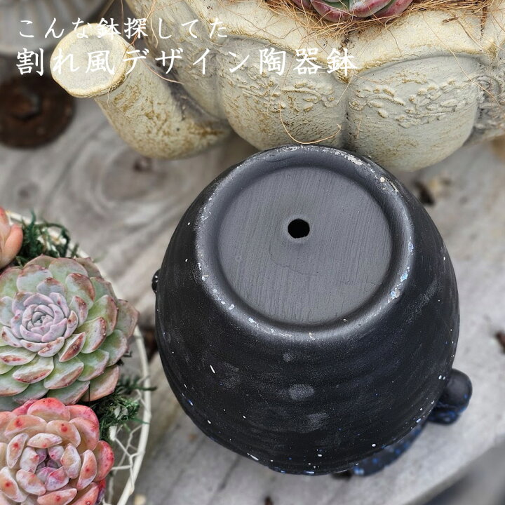 楽天市場】割れ風デザイン陶器鉢セット 中5＋M おしゃれ 陶器鉢 植木鉢 