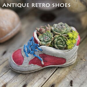 AeB[NgV[YZbg@1{M@@픫@Aؔ@GPxA@A@ϗtA