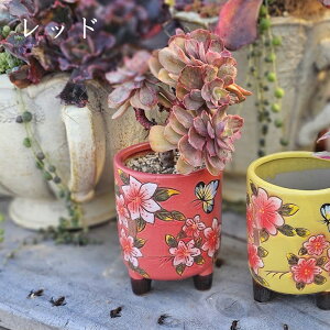 AGIjE܂1c{؍IׂJ[Zbg@A   ϗtA CeA av[g a v[g Mtg j