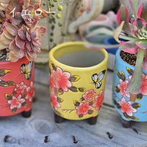 AGIjE܂1c{؍IׂJ[Zbg@A   ϗtA CeA av[g a v[g Mtg j