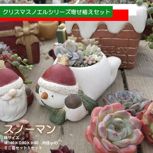 yڋʕizy1100%|CgobNz@NX}XmGV[Y񂹐AZbg@T^N[X@Xm[}@NX}X@A   ϗtA CeA av[