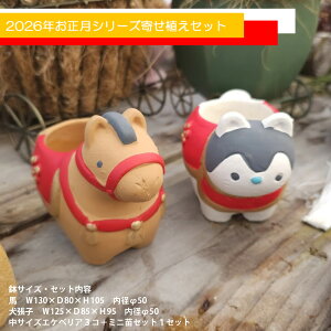 y1100%|CgobNzB{D{2{M{RO@V[Y񂹐AZbg@@VN@񂹐A@A   ϗtA CeA av[g a v[g 