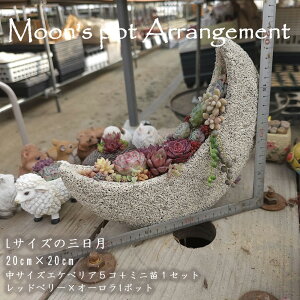 y1100%|CgobNzB{D@qďC@̊񂹐AZbg@A   ϗtA CeA av[g a v[g Mtg j