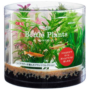 GEX 癒し水景 ボトルプランツ ミリオフィラム 人工水草アクセサリー4種セット