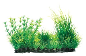 GEX@i MIXvc OX}bg@lHANZT[