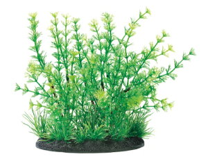 GEX@i MIXvc L AuA@lHANZT[