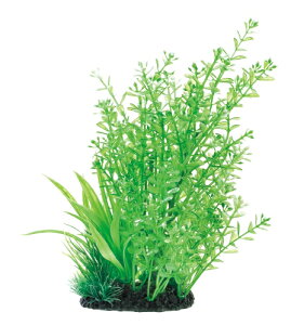 GEX@i MIXvc L p[@lHANZT[