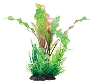 GEX@i MIXvc M A|m@lHANZT[