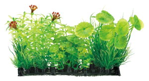 GEX@i MIXvc }bV}bg@lHANZT[