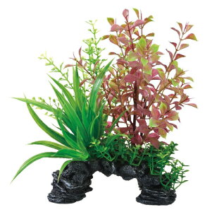 GEX@i MIXvc ~jA[`@bh^@lHANZT[