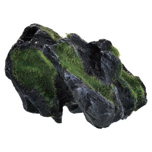 GEX@i@XbN@Hide@lHRPt