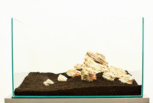 J~n^@ANAEbN@CAEgZbg@w΁@45`75cmpEVR΃Zbg@yƂ͕̓sz