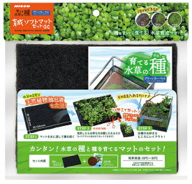 楽天市場 キューバパール 種の通販