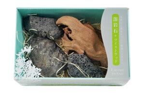 ソネケミファ レイアウトパッケージ 溶岩石+ツイストウッド