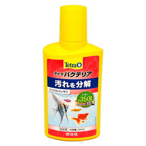 eg@oNeA@250ml@𕪉IɂXbLI