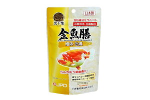 @V@́EFgE@70g@yMыEANAE/GT/pt[hz