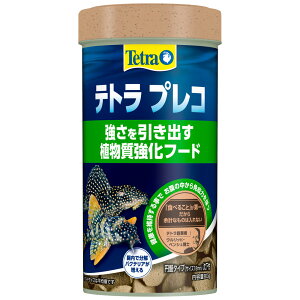 eg@vR@80g@oAt[h@vR̎H