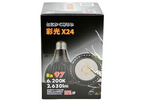 {NXWp@GXjJ@ʌX24@i[@A琬LEDCg