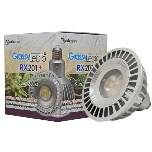 {NXWp@ObV[fBI@RX201@Sun/T(6500K)