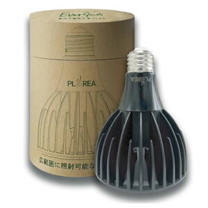 [XC@Go[T365@EverSun365@A琬pLEDCg